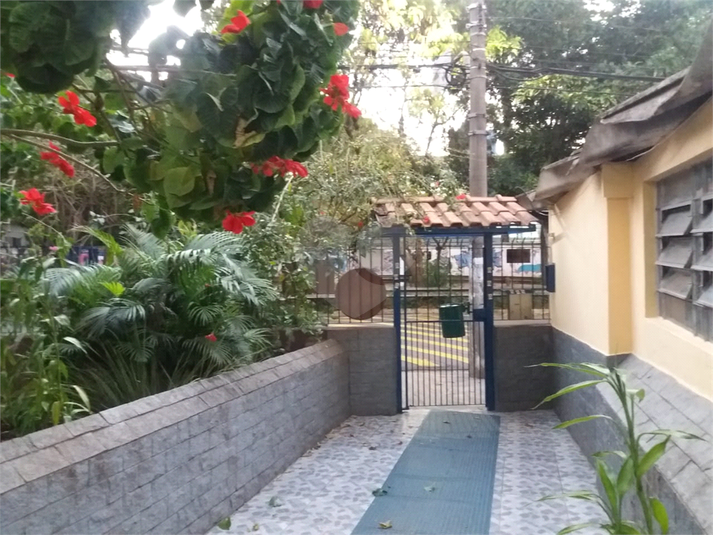 Foto REO340333