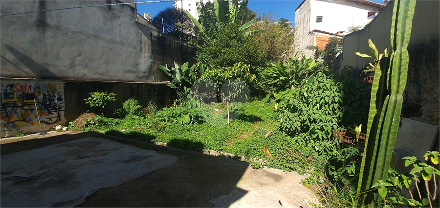 Foto REO340908