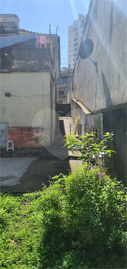 Foto REO340908