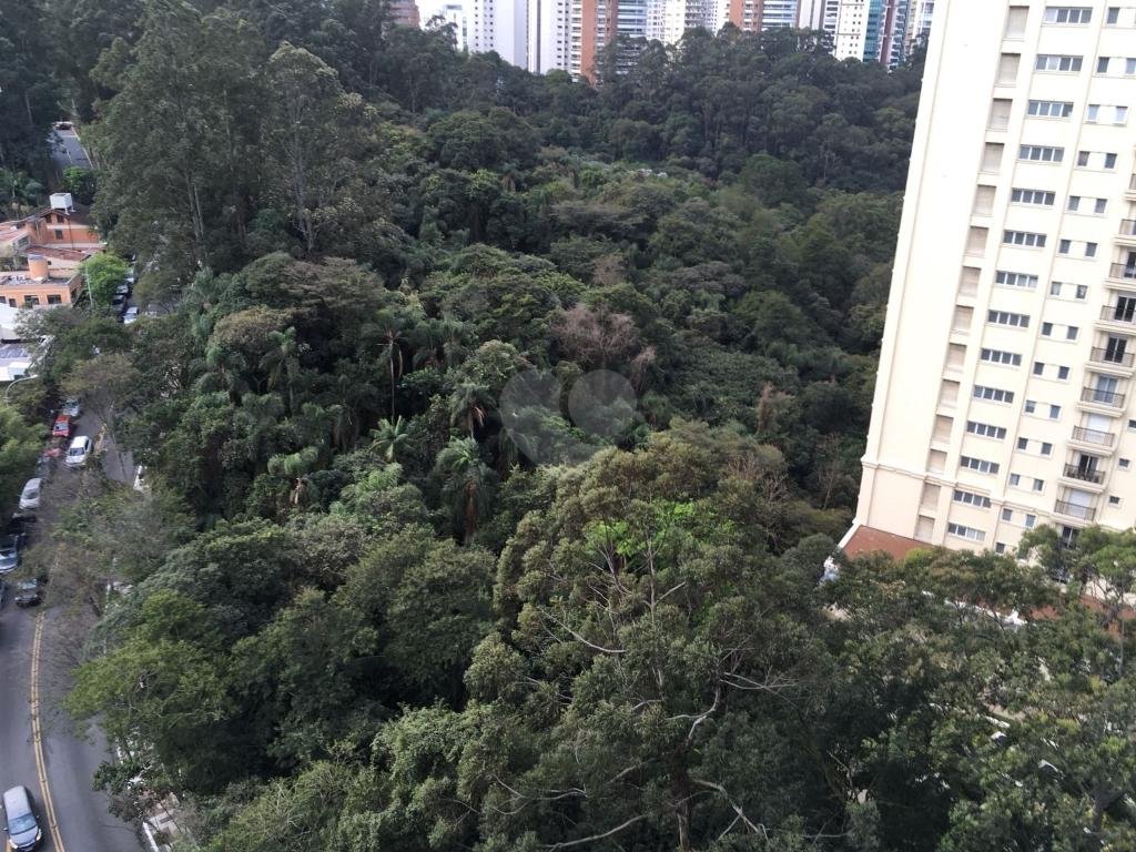 Venda Apartamento São Paulo Paraíso Do Morumbi REO341163 12