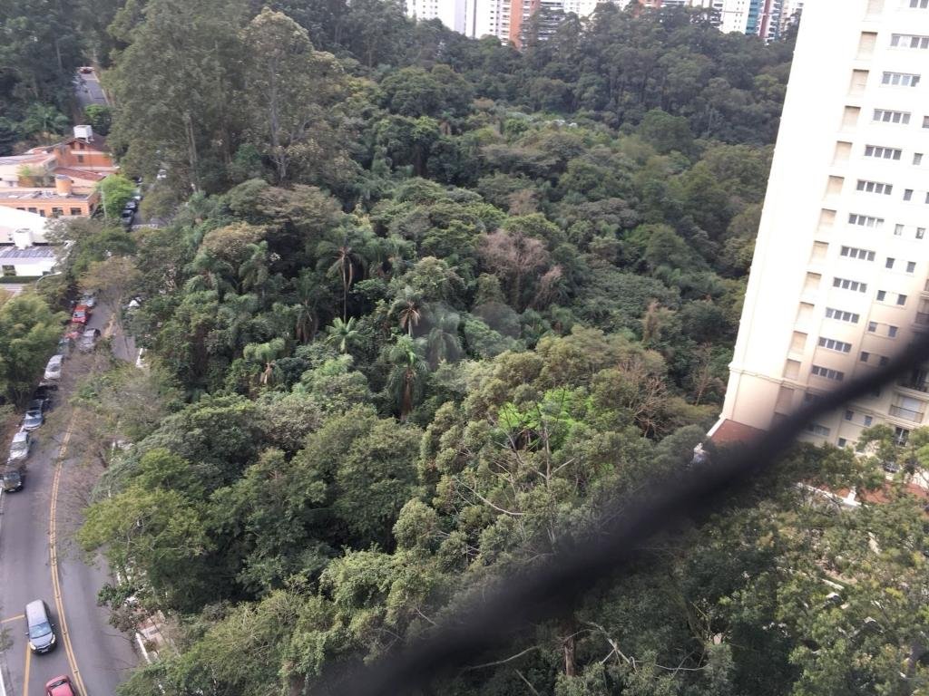 Venda Apartamento São Paulo Paraíso Do Morumbi REO341163 5