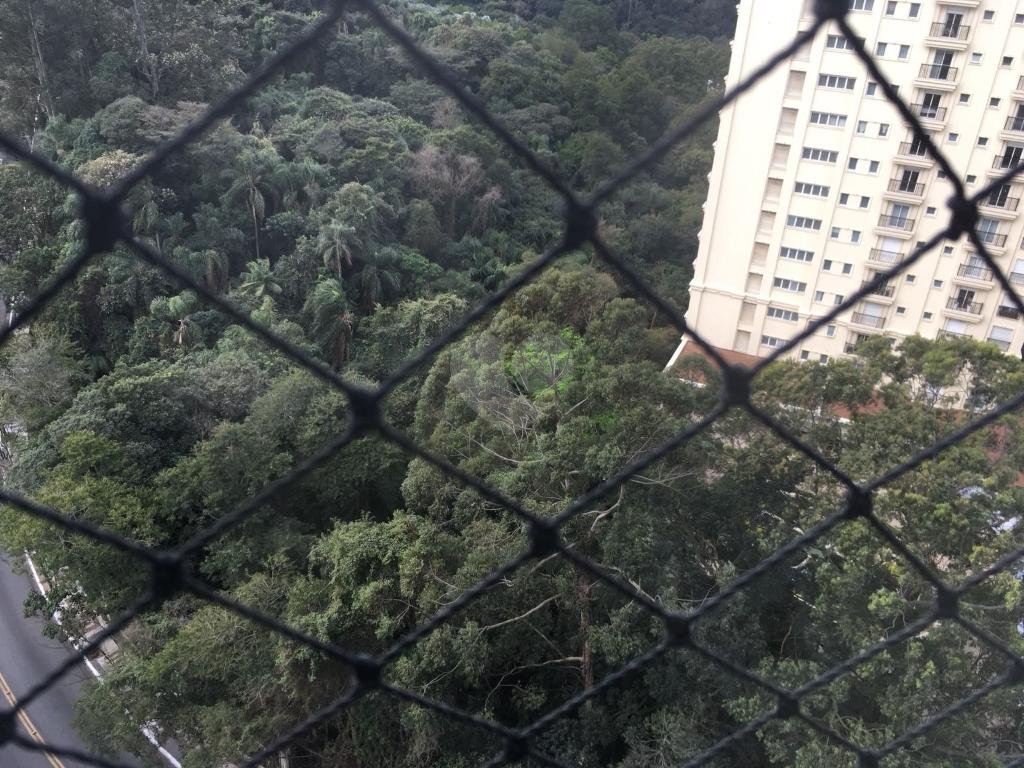 Venda Apartamento São Paulo Paraíso Do Morumbi REO341163 10