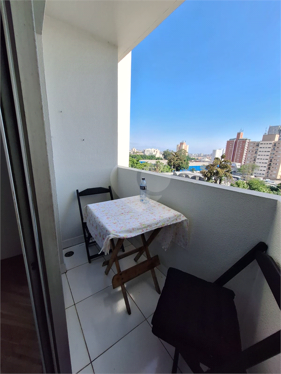 Venda Apartamento São Paulo Vila Mascote REO341868 2