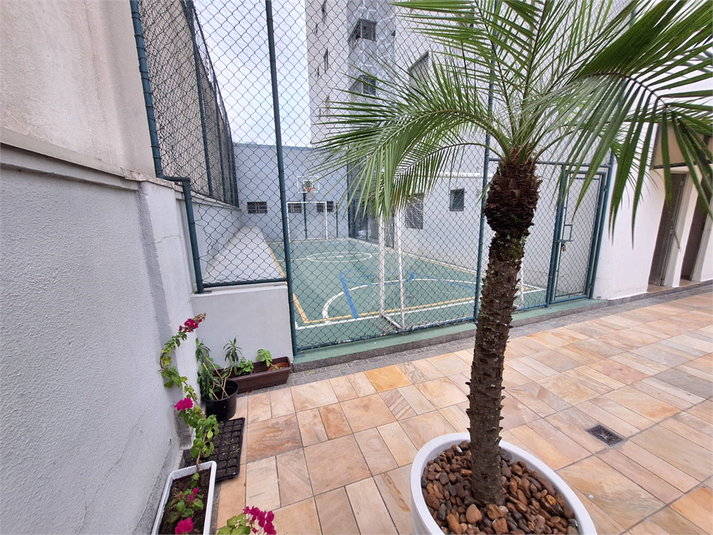 Venda Apartamento São Paulo Vila Mascote REO341868 3