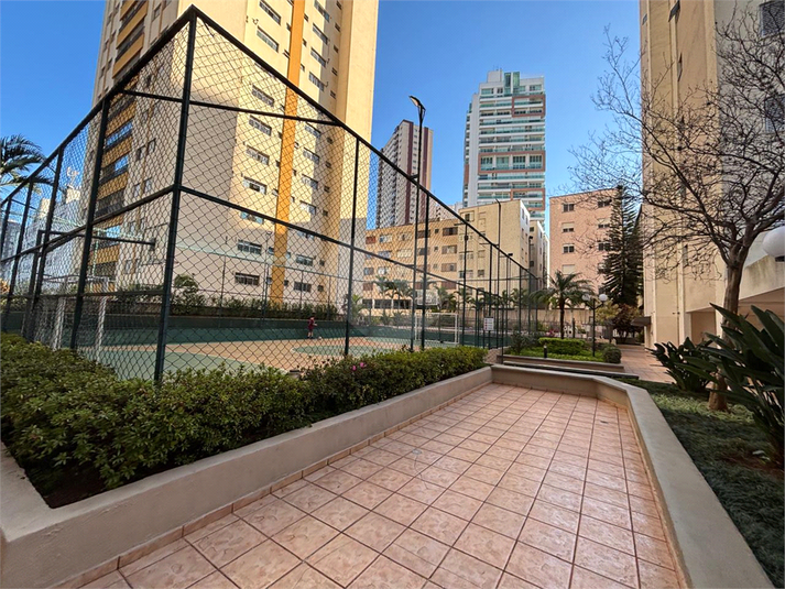 Foto REO341902
