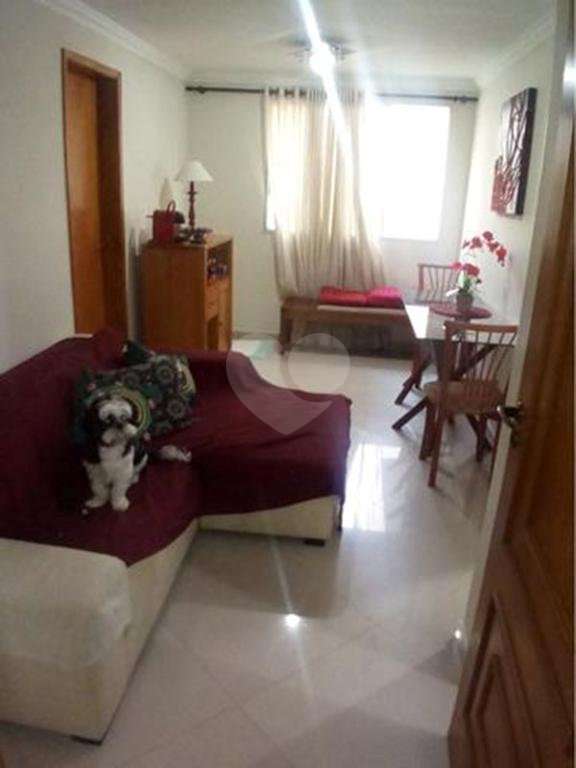 Venda Apartamento São Paulo Vila Regina REO342236 8