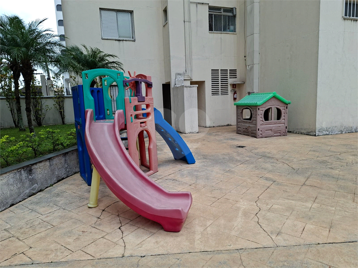 Foto REO342554