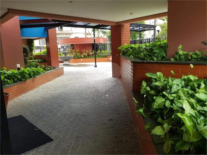 Venda Apartamento São Paulo Cambuci REO342803 41