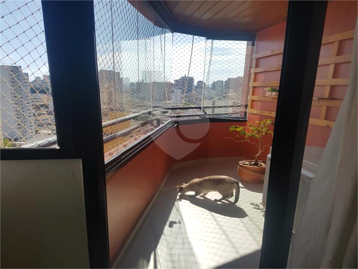 Venda Apartamento São Paulo Cambuci REO342803 5