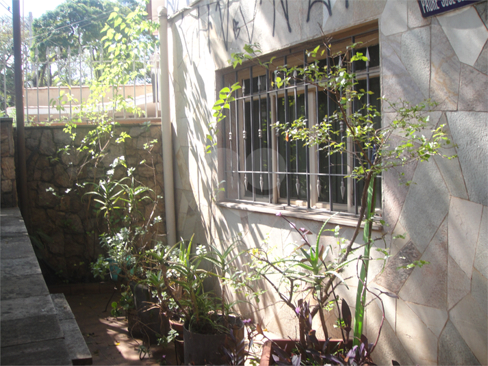 Foto REO342876