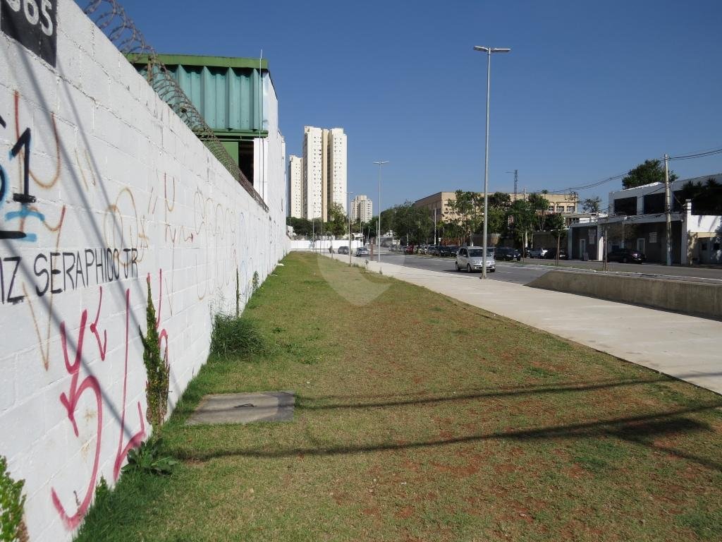 Aluguel Galpão São Paulo Jardim Caravelas REO343550 31