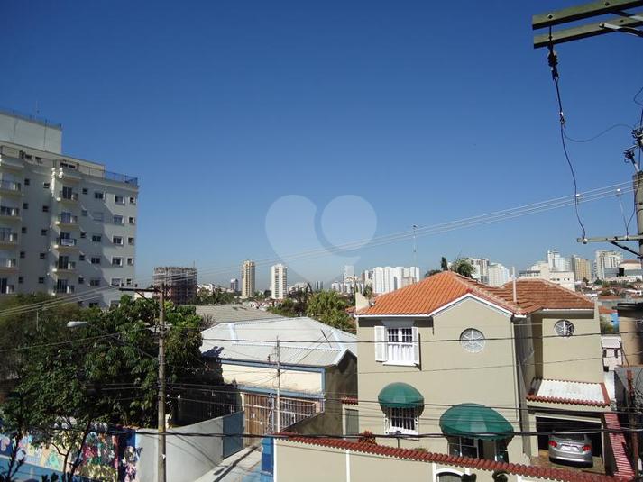 Foto REO343617