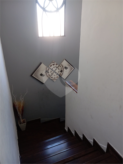 Foto REO345527