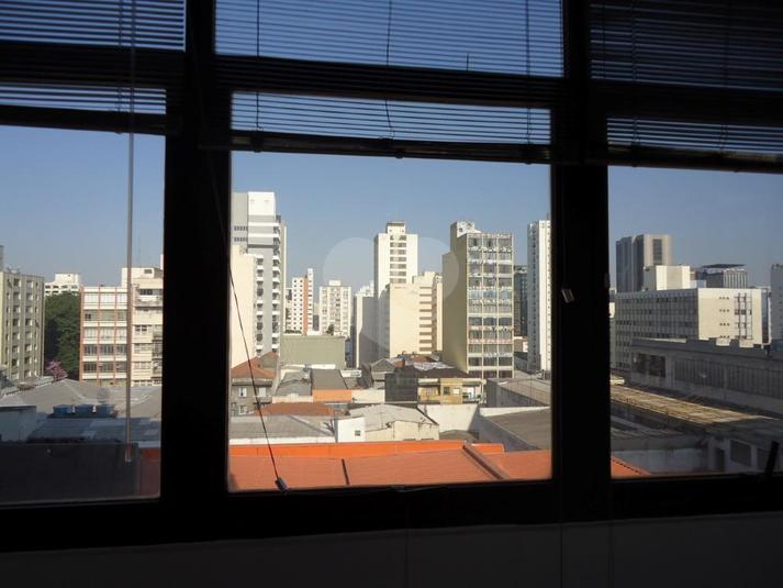 Foto REO345574