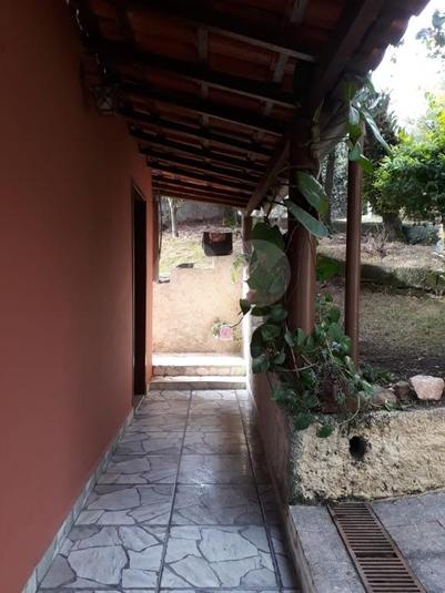 Foto REO345639