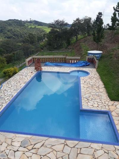 Foto REO345639
