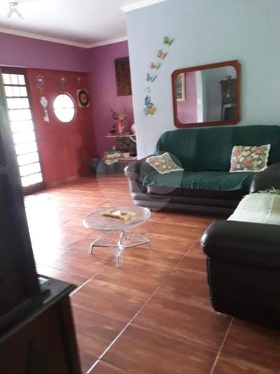 Foto REO345639