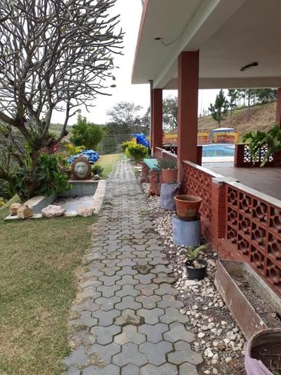 Foto REO345639