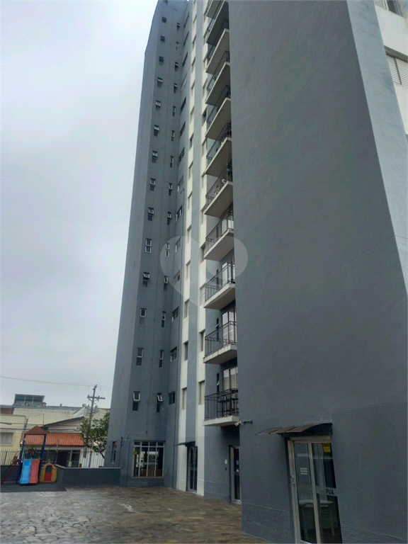 Aluguel Apartamento São Paulo Vila São Pedro REO345752 1