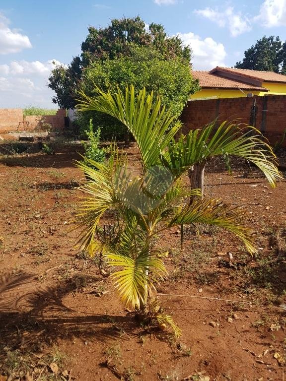 Venda Sítio Cesário Lange Centro REO345827 11