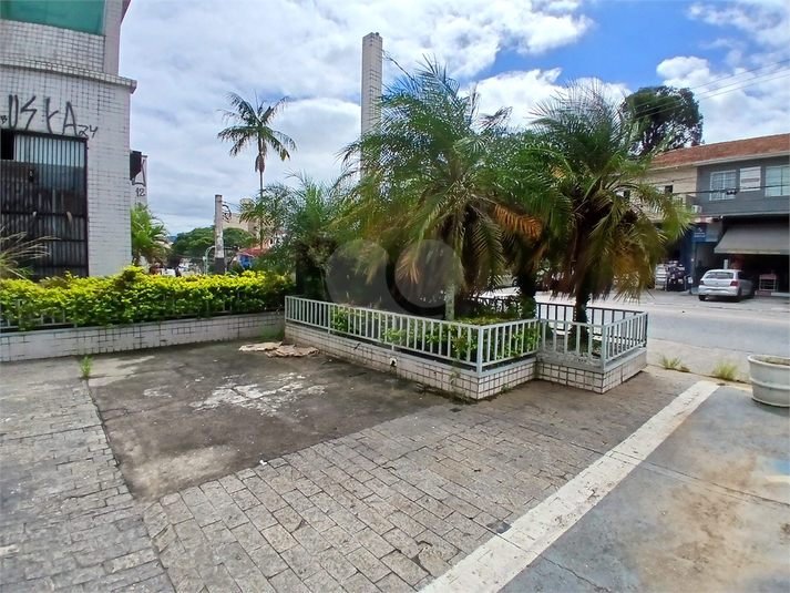 Foto REO345863