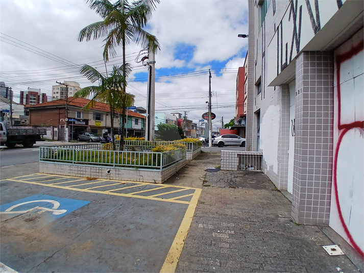 Foto REO345863