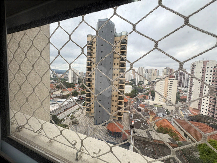 Foto REO346049