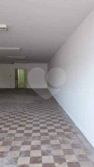 Foto REO346232