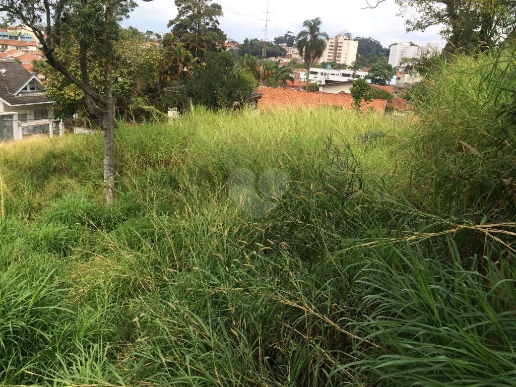 Venda Terreno São Paulo Vila Albertina REO346474 9