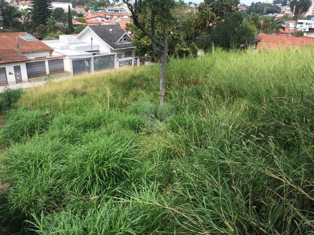 Venda Terreno São Paulo Vila Albertina REO346474 7