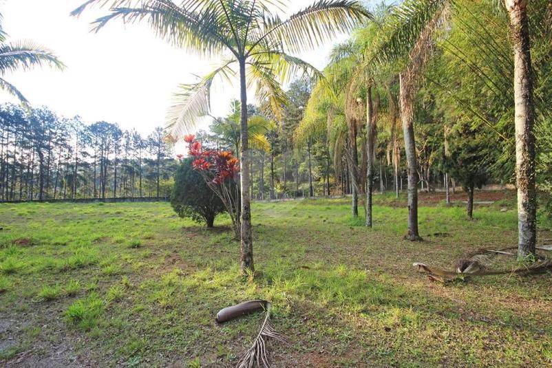 Venda Terreno Barueri Aldeia Da Serra REO346887 5