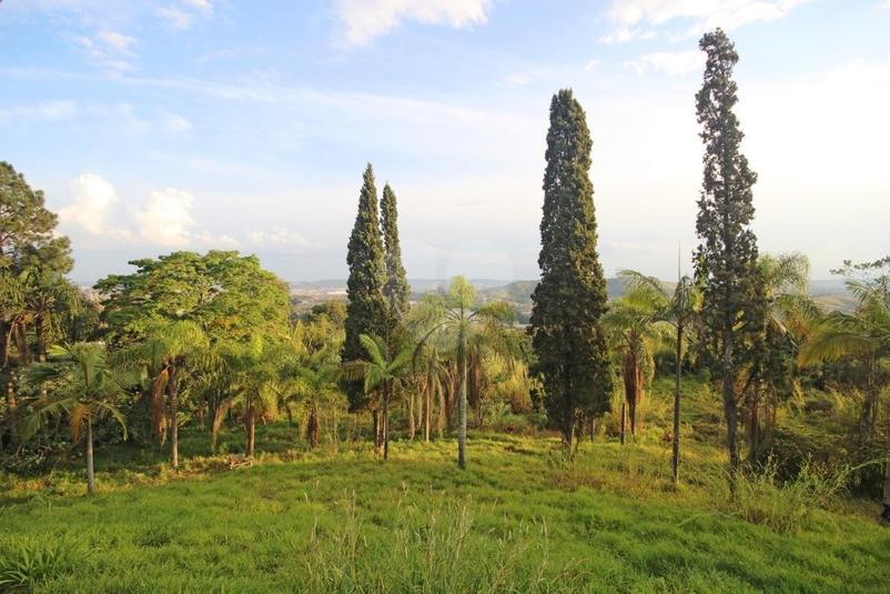 Venda Terreno Barueri Aldeia Da Serra REO346887 1