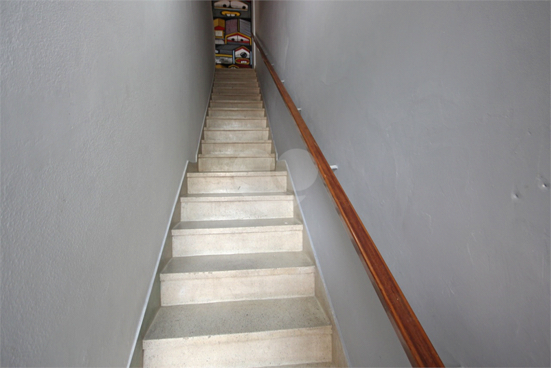Foto REO347686