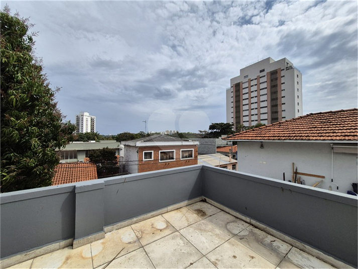 Foto REO347686