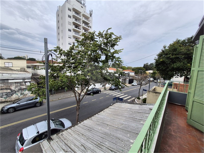 Foto REO347686