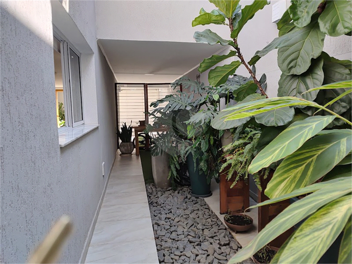 Foto REO348063