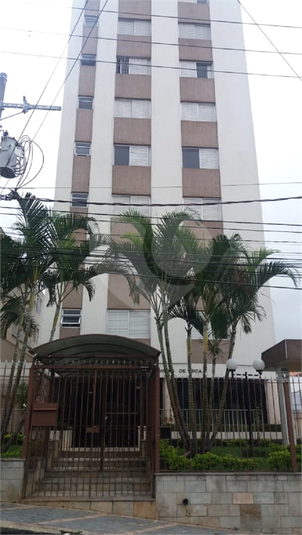 Aluguel Apartamento São Paulo Vila Paulicéia REO348633 1