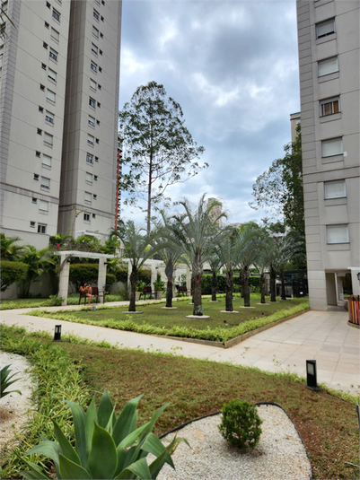 Venda Apartamento São Paulo Vila Suzana REO349061 30