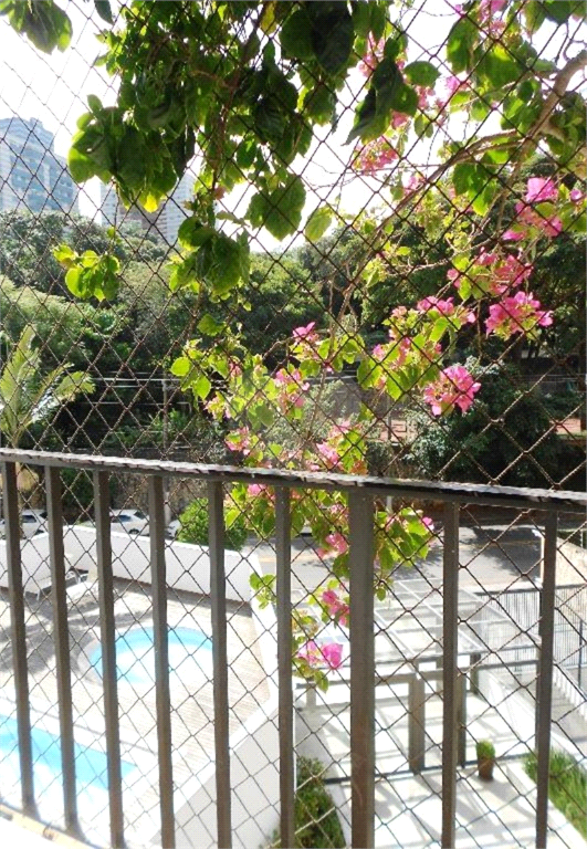 Aluguel Apartamento São Paulo Jardim Colombo REO349251 22