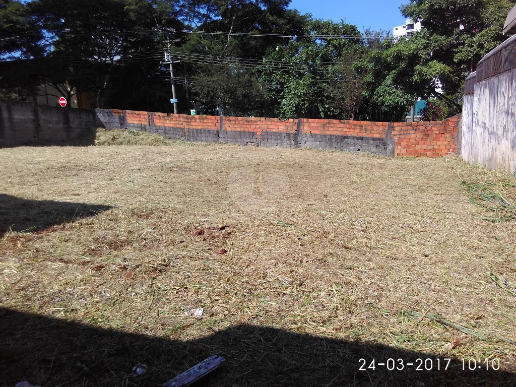 Venda Terreno São Paulo Jardim Avelino REO349274 11