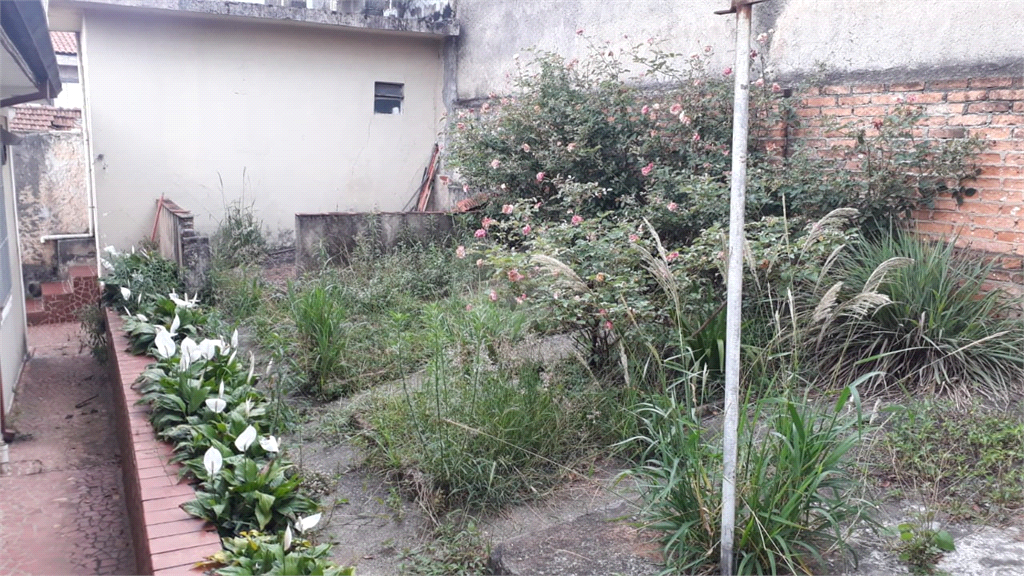 Venda Terreno São Paulo Vila Bonilha REO349613 14