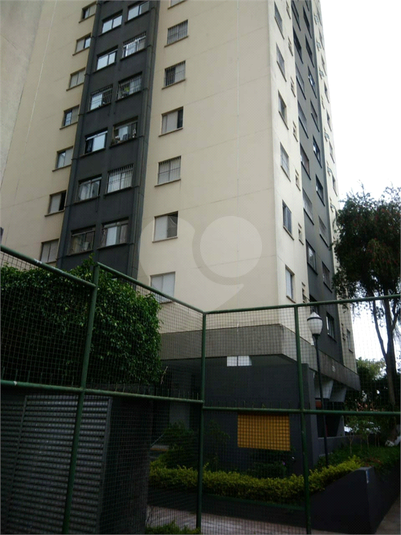 Foto REO349682