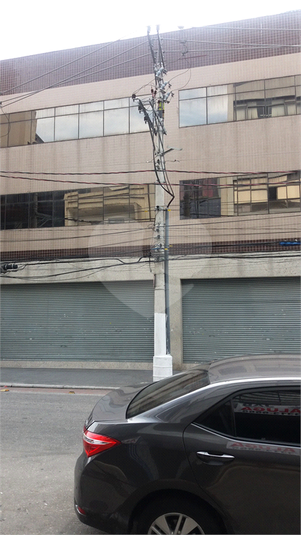 Foto REO349745