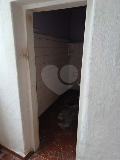 Foto REO350037