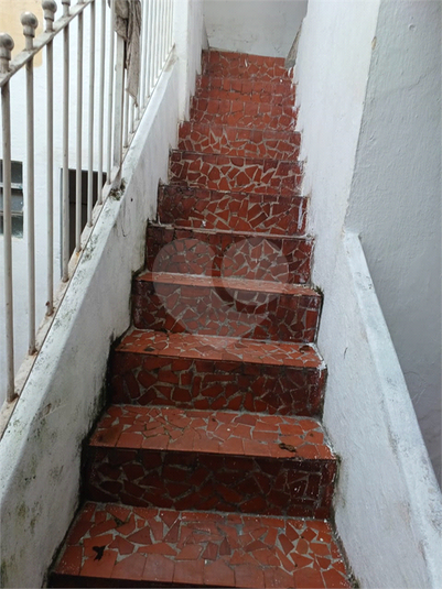 Foto REO350037