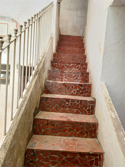 Foto REO350037