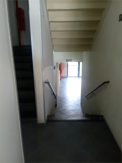 Foto REO350228