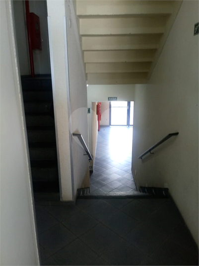 Venda Apartamento Campinas Jardim Cristina REO350228 7