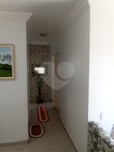 Foto REO350228