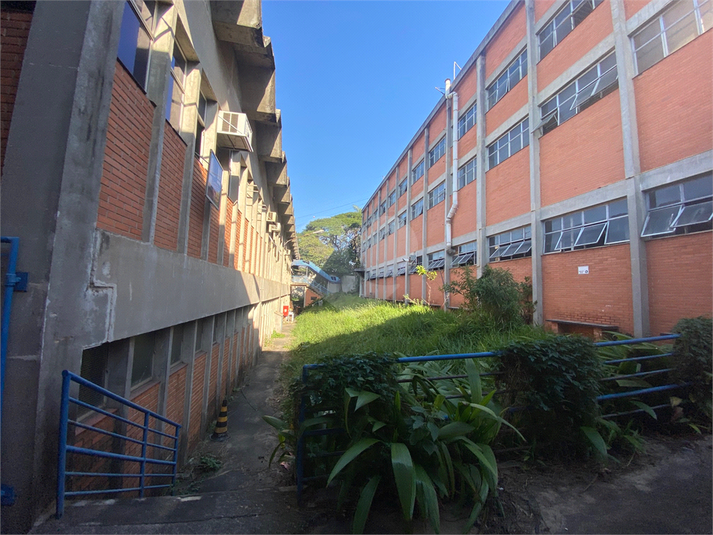 Venda Galpão São Paulo Parque São Domingos REO350458 23